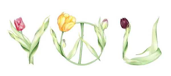 Watercolor Floral Spring Lettering Tulips Arrangements Peace Sign Valentines Tulips — 스톡 사진