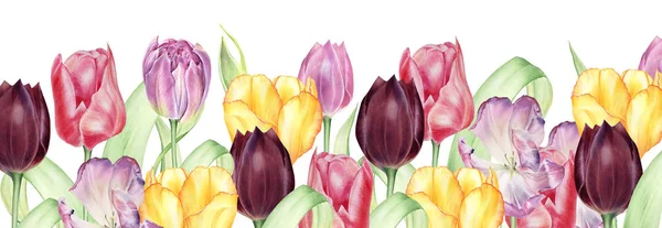 Akvarelové Tulipány Svatební Opatření Šablona Velikonoční Karty — Stock fotografie