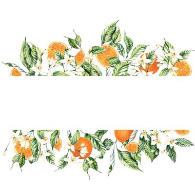 Yaz düğün davetiyeleri için suluboya narenciye çerçeveleri. Citrus Portakalları Clipart düzenlemeleri. Düğün davetiyeleri.