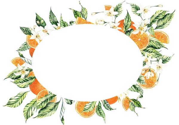 Aquarell Zitrusrahmen Für Hochzeitseinladungen Sommer Citrus Oranges Clipart Arrangements Hochzeitssommer — Stockfoto