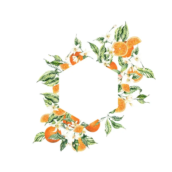 Aquarell Zitrusrahmen Für Hochzeitseinladungen Sommer Citrus Oranges Clipart Arrangements Hochzeitssommer — Stockfoto