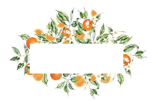 Aquarell Zitrusrahmen Für Hochzeitseinladungen Sommer Citrus Oranges Clipart Arrangements Hochzeitssommer — Stockfoto