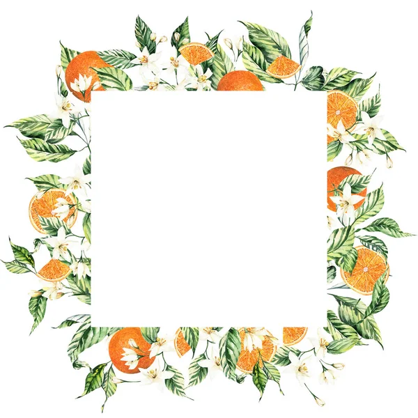 Aquarell Zitrusrahmen Für Hochzeitseinladungen Sommer Citrus Oranges Clipart Arrangements Hochzeitssommer — Stockfoto