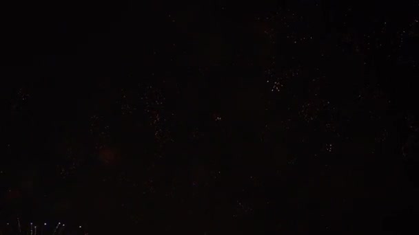 Beautiful Fireworks Sky — Stock Video