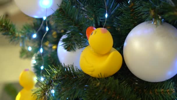 Різдвяні Прикраси Дереві Качка Ванної Кімнати — стокове відео