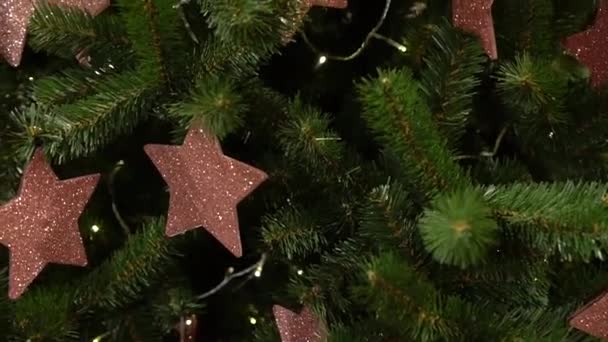 Karácsonyi Dekoráció Karácsonyfán Ragyogó Csillagok — Stock videók