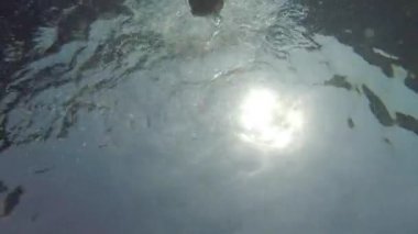  Adam güneşe karşı suda yüzüyor.