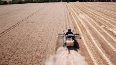  Yeni hasat tarladaki buğdayı birleştirir