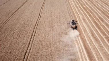  Yeni hasat tarladaki buğdayı birleştirir