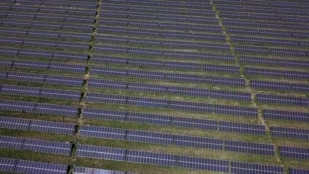 Campo grande con paneles solares — Vídeo de stock