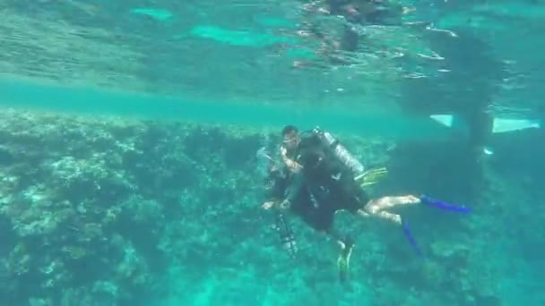 Three people diving in the sea — Stock Video