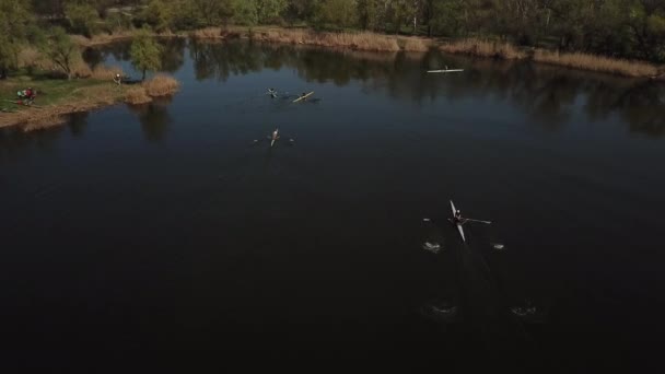 Aerial Of Tourists Rowing On River — Stock Video
