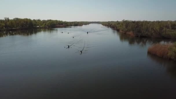 Luchtfoto van toeristen roeien op de rivier — Stockvideo