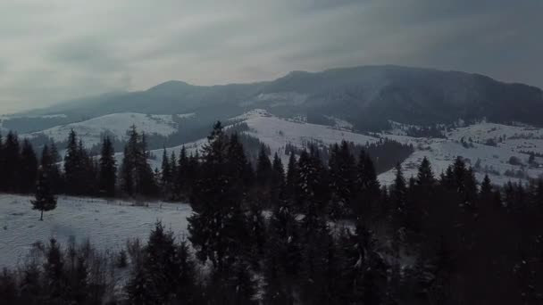 Зимний пейзаж снега горы воздушный вид пролететь над — стоковое видео