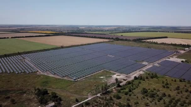 Campo grande con paneles solares — Vídeo de stock