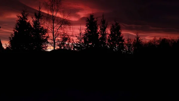 冬の山の中で美しい劇的な赤い夕日 — ストック写真