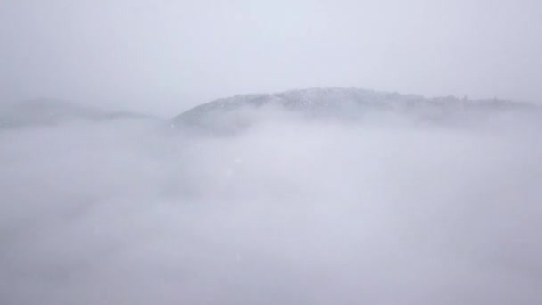 Invierno bosque nevado en las nubes — Vídeos de Stock