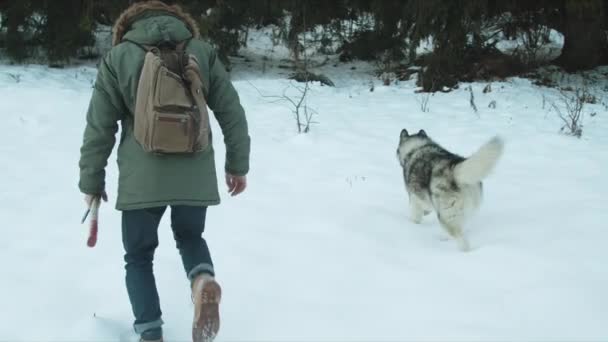 O tipo anda com o cão na floresta. — Vídeo de Stock