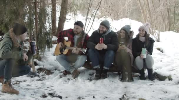 Groep vrienden van toeristen aan het praten in het bos — Stockvideo