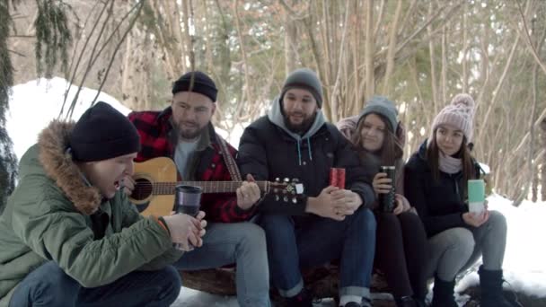 Группа друзей туристов, разговаривающих в лесу — стоковое видео