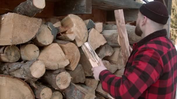 Brutal bûcheron met un arbre abattu dans un lieu de stockage — Video