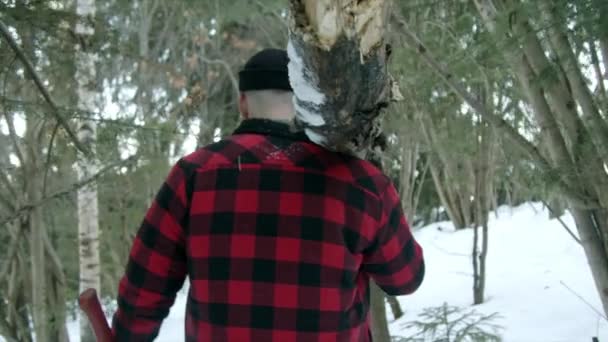 Brutal skogshuggare går genom vinterskogen — Stockvideo