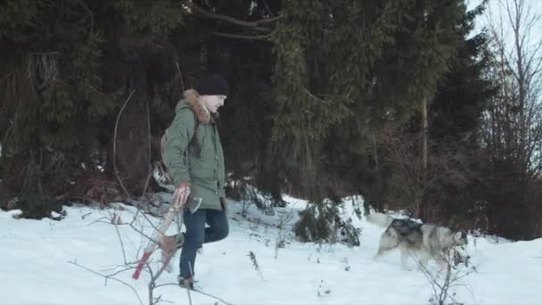 De man loopt met zijn hond het bos in. — Stockvideo