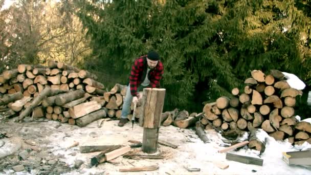 Brute houthakker hakken hout in het winterbos — Stockvideo