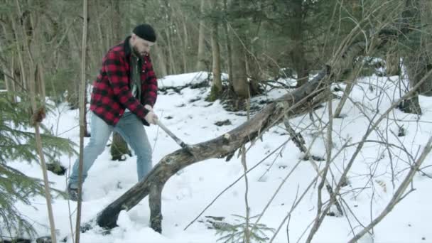 Brutalny drwal rąbiący drewno w zimowym lesie — Wideo stockowe