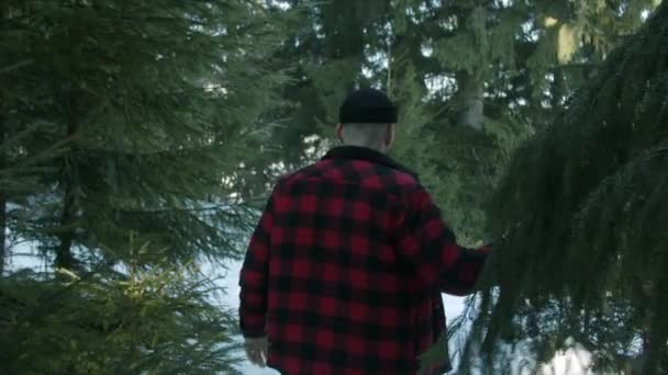 Brutális favágó sétál a téli erdőben — Stock videók