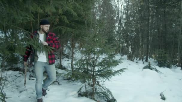 Brutaler Holzfäller spaziert durch den Winterwald — Stockvideo