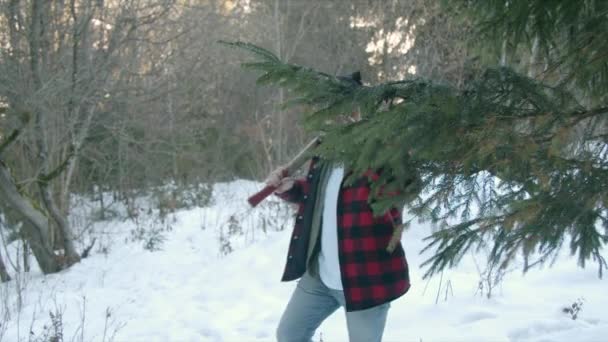 Vahşi oduncu kış ormanlarında yürüyor. — Stok video