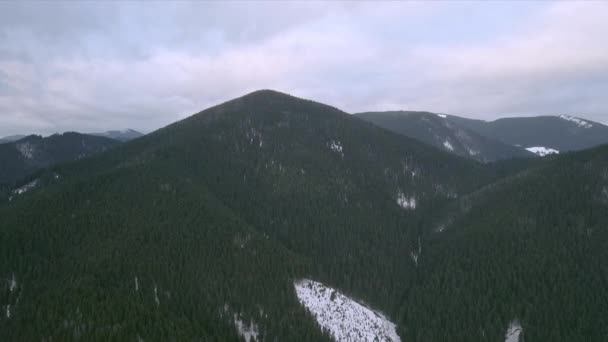 Вид с воздуха на горы зимних лесов — стоковое видео