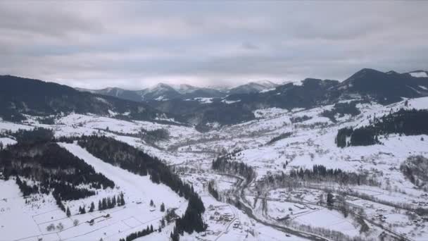 Vista aérea de las montañas del bosque de invierno — Vídeo de stock