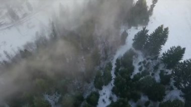  Bulutlardaki karlı kış ormanı