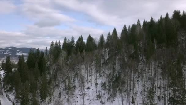 Вид с воздуха на горы зимних лесов — стоковое видео