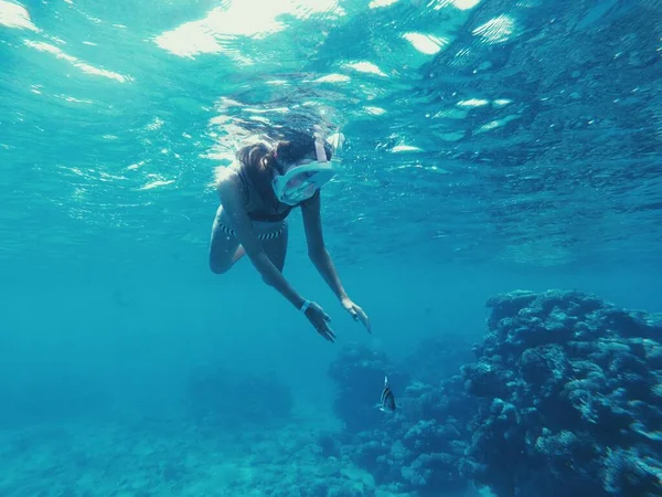 Young woman swims in the sea with fish — Stock Photo, Image