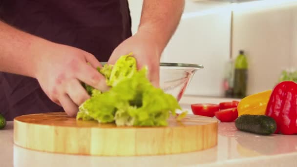 Homem mistura salada de legumes frescos — Vídeo de Stock