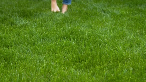 Žena šlape na sekané trávníku — Stock video