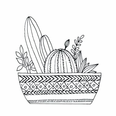 Teslimat logosundaki ev bitkileri. El çizimi çizimi. Bitkiler, sansevieria ve kaktüs. Stok sanatı
