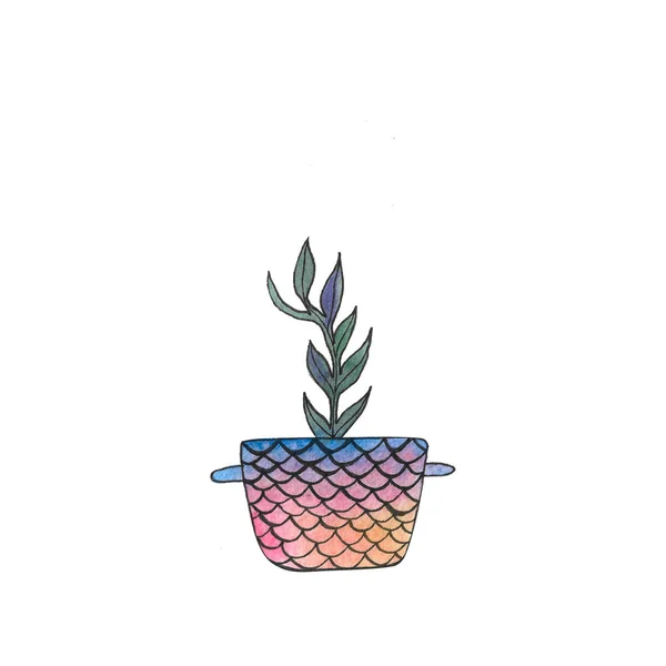 Akvarell Hazai Növény Pot — Stock Fotó