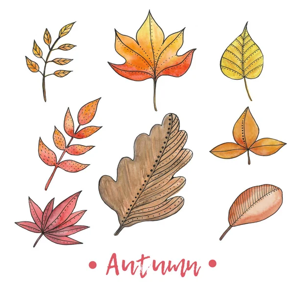 Akvarel Podzimní Listí Byliny Ruční Malba Izolovaných Prvků — Stock fotografie