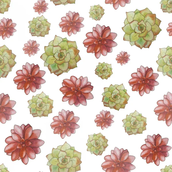 Watercolor Green Red Seamless Pattern Succulents — Stock Photo, Image