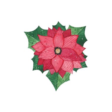 Kırmızı noktalı suluboya Noel buketi, beyaz üzerine izole bırakılmış. Noel kartı.