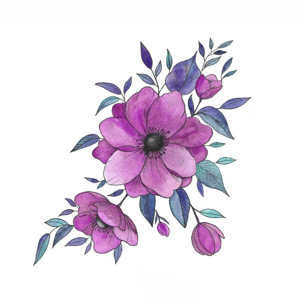 Watercolor Set Anemones Buds Leaves Beautiful Flower Hand Drawings Flower — Stock Photo, Image