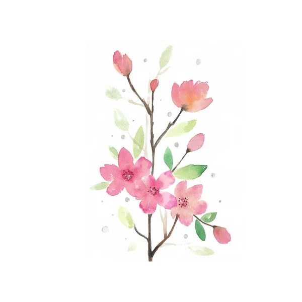 Acuarela Flores Primavera Sakura Estilo Japonés Dibujo Mano Para Imprimir —  Fotos de Stock