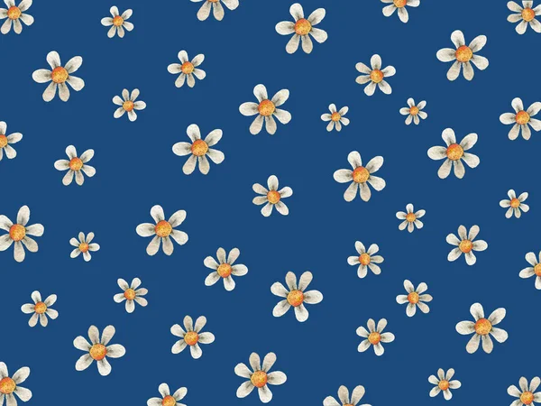 Floral Flower Background Daises Chamomiles Pantone 2020 Classic Blue — Stock Photo, Image
