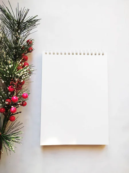 Flatlay Com Pinho Natal Folhas Caderno Esboços — Fotos gratuitas