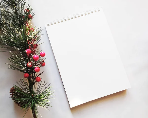 Flatlay Con Pino Navidad Hojas Cuaderno Bocetos — Foto de Stock