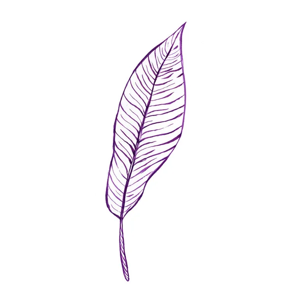 Цветочные Иллюзии Фиолетовая Акварель Листья Рисунок Печати Плакат Фон — стоковое фото